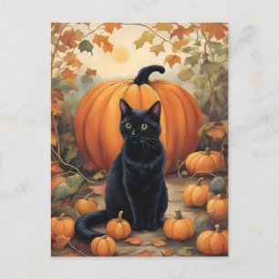 Carte Postale Chat noir avec Citrouille Halloween