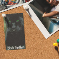 Chat noir avec les yeux verts