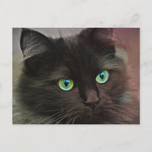 Carte Postale Chat noir avec portrait aux yeux verts