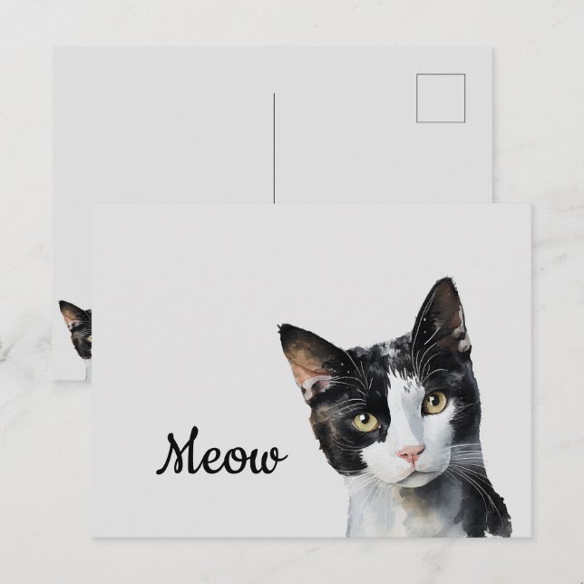 Carte Postale Chat noir blanc de viande (Devant / Derrière)