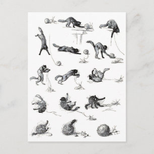 Carte Postale Chat noir & Boule en laine, Alexandre Steinlen