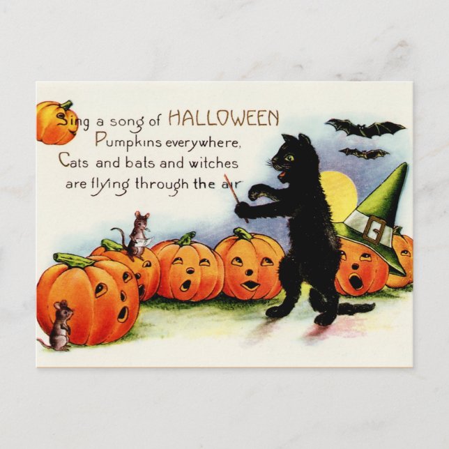 Carte postale Chat noir, Chanter Citrouilles, Hall (Devant)
