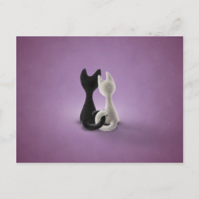 Carte Postale Chat noir Chat blanc (couleur 4) (Devant)