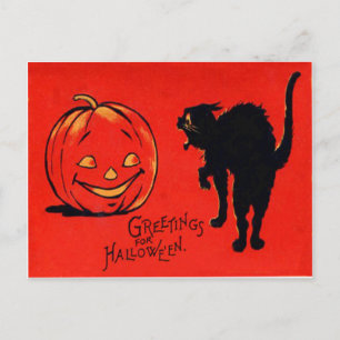 Carte Postale Chat noir Citrouille Jack-o'-lantern