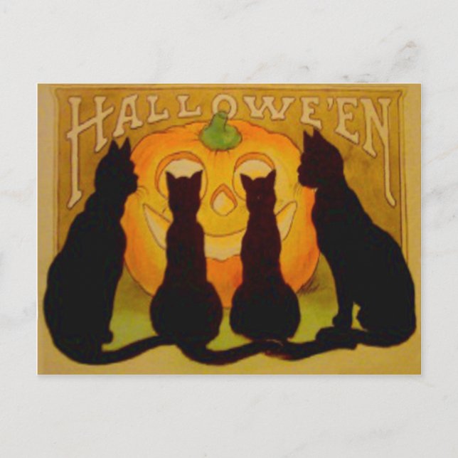 Carte Postale Chat noir Citrouille Jack-o'-lantern (Devant)