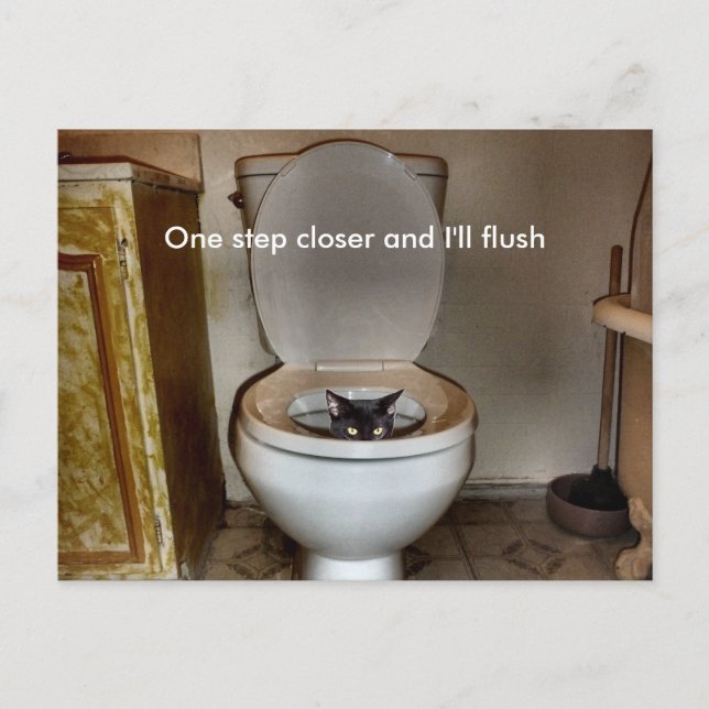 Carte Postale Chat noir dans les toilettes (Devant)