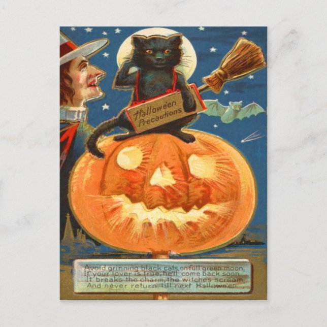Carte Postale Chat noir de Jack-o'-lantern (Devant)