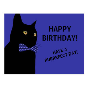 Cartes Postales Joyeux Anniversaire Chat Originales Zazzle Ca