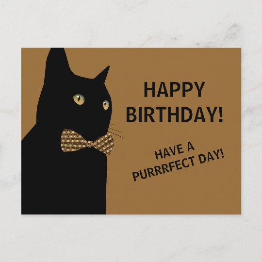 Carte Postale Chat Noir De Joyeux Anniversaire Avec Une Cravate Zazzle Ca