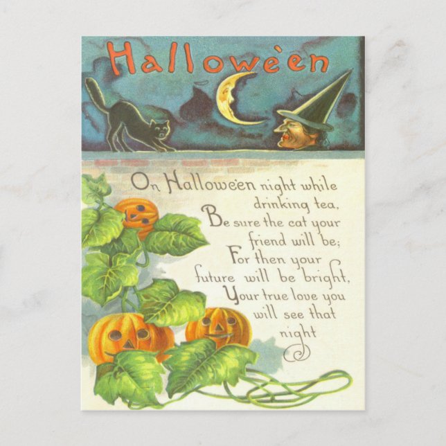 Carte Postale Chat noir de sorcière de Jack-o'-lantern de vignes (Devant)