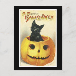 Carte Postale Chat noir d'Halloween et Citrouille