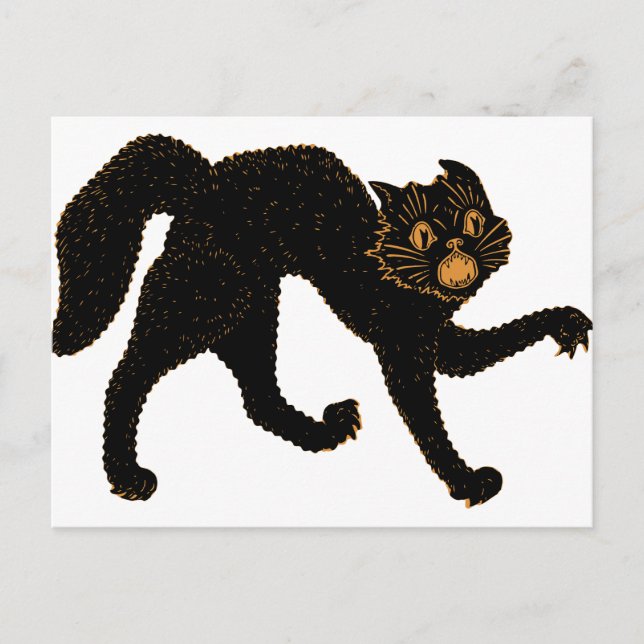 Carte Postale Chat noir effrayant 1920 (Devant)