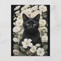 chat noir en fleurs blanches