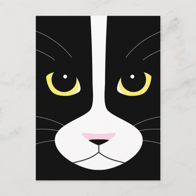 Carte Postale Chat noir et blanc (Devant)