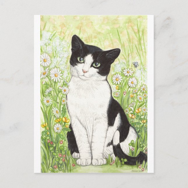 Carte Postale Chat noir et blanc avec marguerites (Devant)