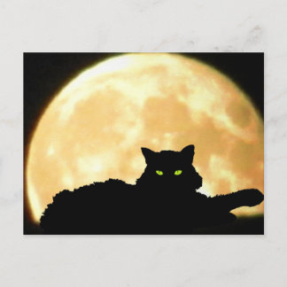 Carte Postale Chat noir et Pleine lune de repos