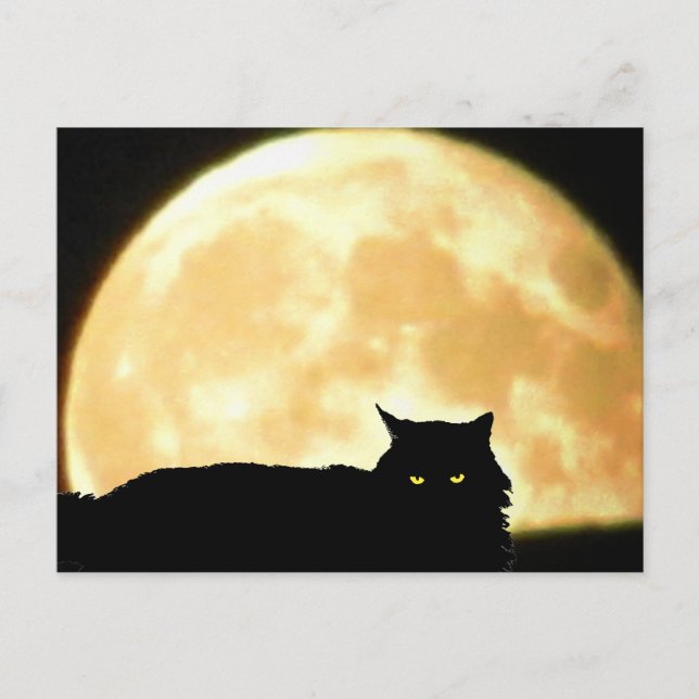 Carte Postale Chat noir et Pleine lune relaxant (Devant)