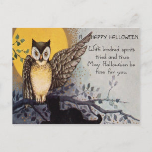 Carte Postale Chat noir Hibou Pleine lune Arbre Nuit