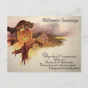 Carte Postale Chat noir Jack O' Lantern Citrouille Chauve-souris