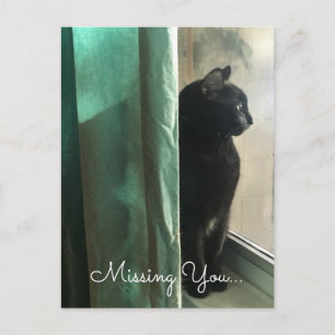 Carte Postale Chat noir mélancolique qui vous manque distance so