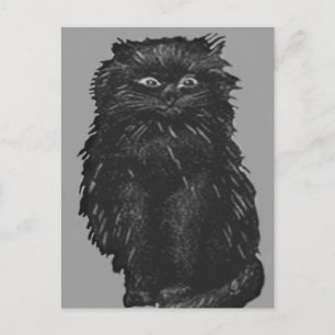 Carte Postale Chat noir monochrome
