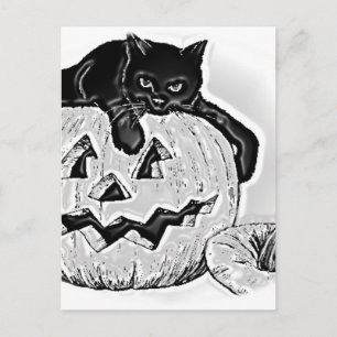 Carte Postale Chat noir orange citrouille Halloween