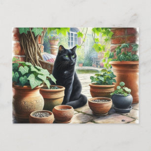 Carte Postale Chat noir regardant de l'herbe à chat pousser Mign