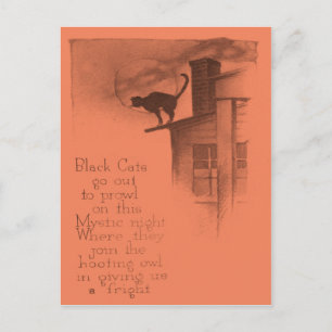 Carte Postale Chat Noir Sur Toit Pleine Lune