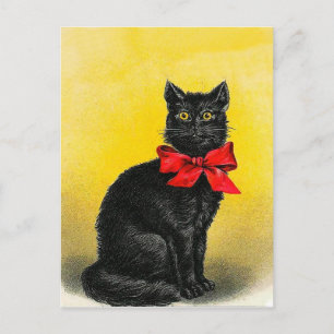 Carte Postale Chat noir vintage