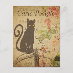 Carte Postale Chat noir vintage,