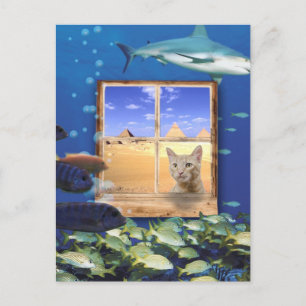 Carte Postale Chat observer le poisson sous la mer