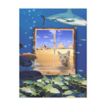 Chat observer le poisson sous la mer