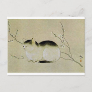 Carte Postale Chat par Hishida Shunso
