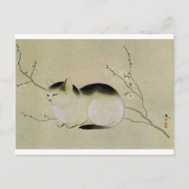 Carte Postale Chat par Hishida Shunso (Devant)