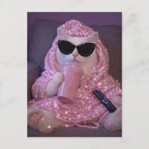 Carte Postale Chat paresseux glamour avec lunettes de soleil