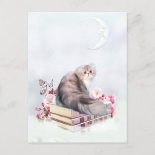 Carte Postale Chat persan et livres
