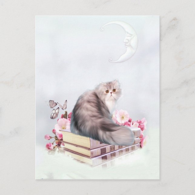Carte Postale Chat persan et livres (Devant)