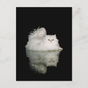 Carte Postale Chat perse avec Jade Green Eyes