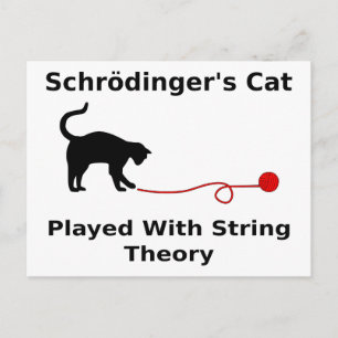 Carte Postale Chat Played With String Theory