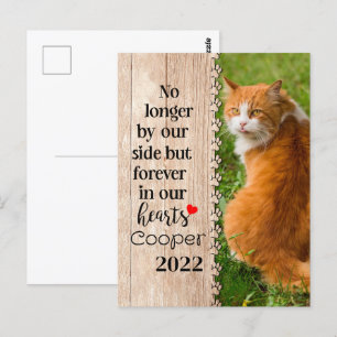 Carte Postale Chat Plus De Notre Côté Mais Pour Toujours Dans No