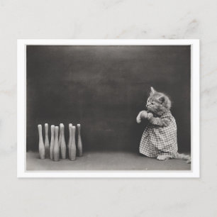 Carte Postale Chat portant des vêtements et jouant au bowling, c