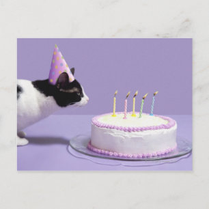 Carte Postale Chat portant un casquette d'anniversaire soufflant