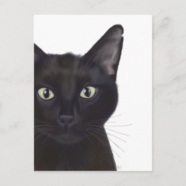 Carte Postale Chat, Portrait de Gus (Devant)
