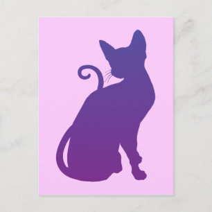Carte Postale Chat pourpre