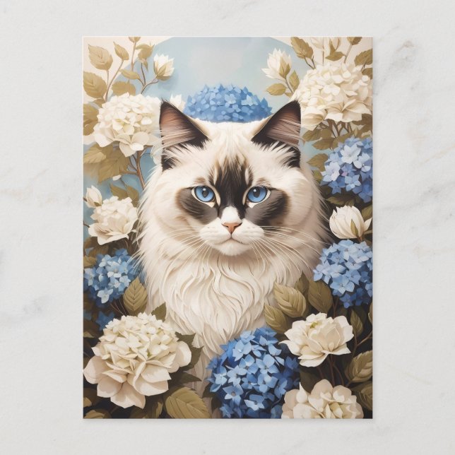 Carte Postale Chat Ragdoll Avec Fleurs Bleues D'Hydrangée (Devant)