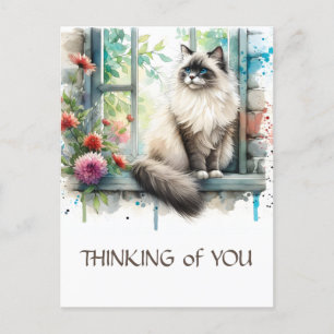Carte Postale Chat Ragdoll Beige en fenêtre avec fleurs d'été