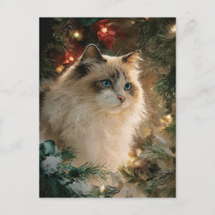 Carte Postale Chat Ragdoll Noël