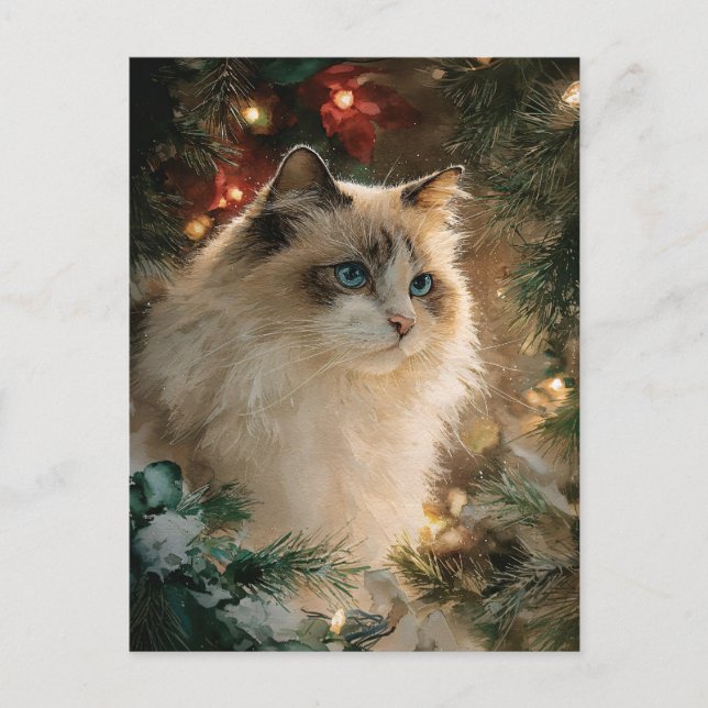 Carte Postale Chat Ragdoll Noël (Devant)