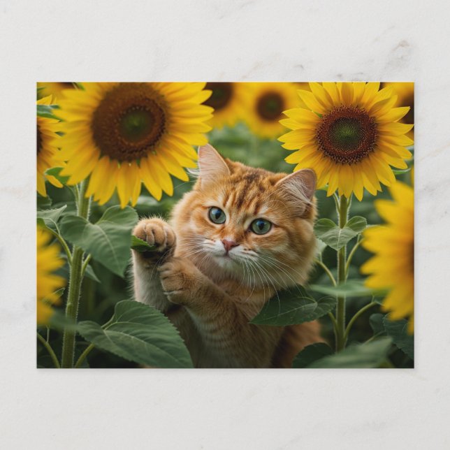 Carte postale Chat roux mignon dans les tournesols (Devant)