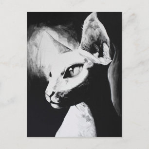 Carte Postale Chat sans cheveux Sphynx Art original noir & blanc